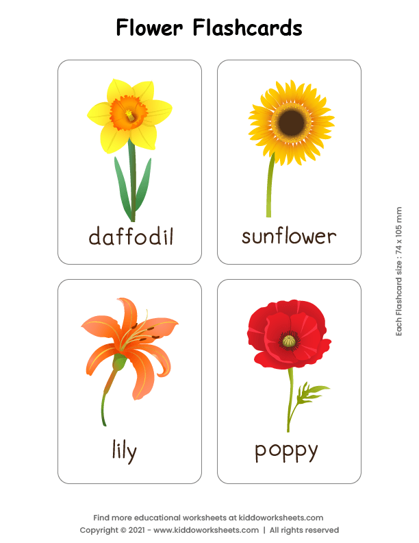 free printable flowers flashcards worksheet kiddoworksheets