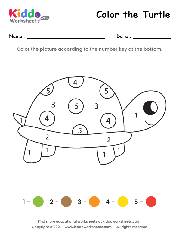 Free Printable Color the Turtle Worksheet - kiddoworksheets