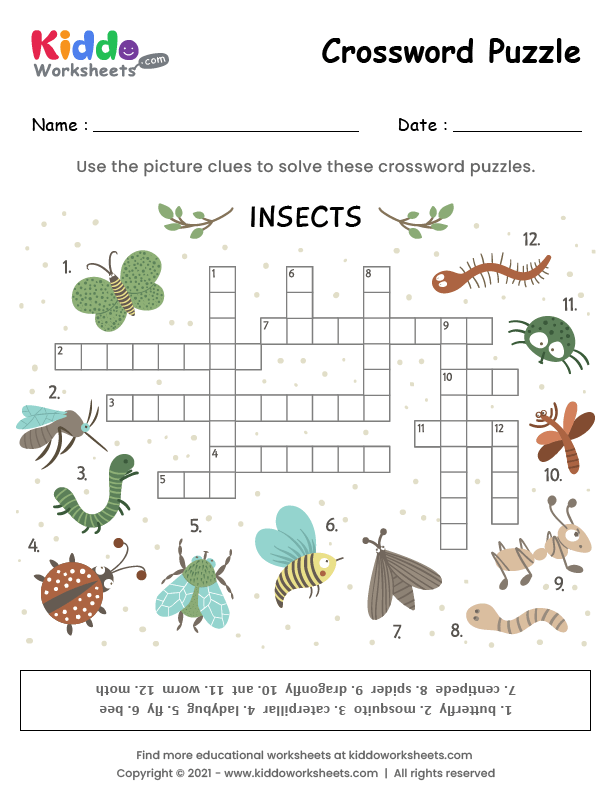 Free Printable Crossword Puzzle Insects Worksheet - kiddoworksheets