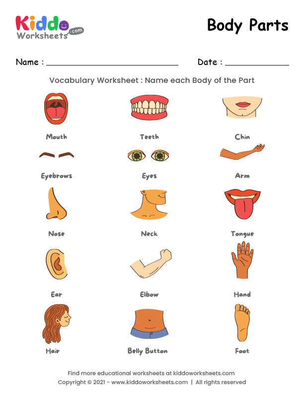 free printable worksheets preschool body parts