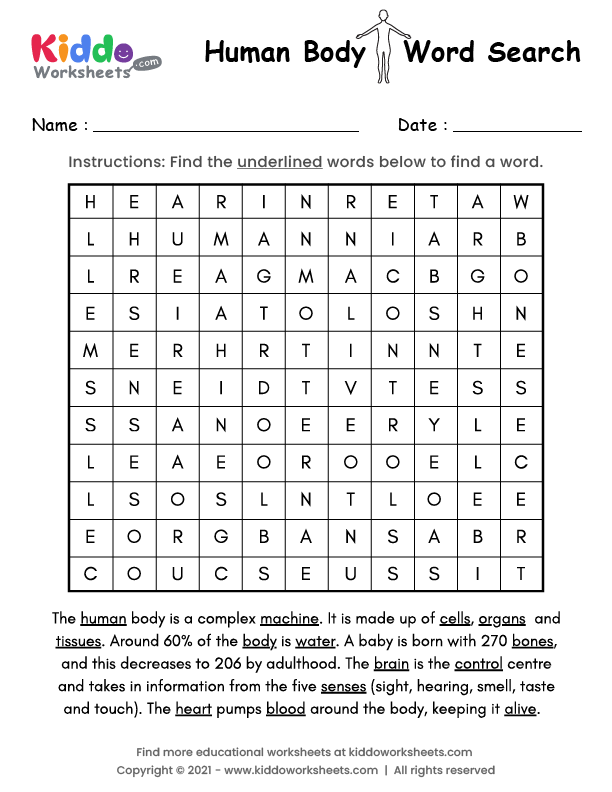 Free Printable Human Body Word Search Worksheet - kiddoworksheets