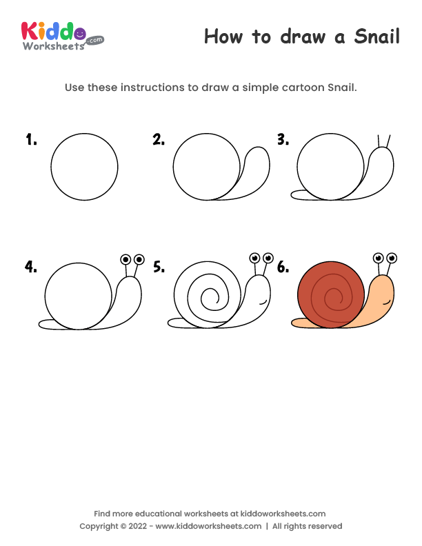 Free Printable How to draw Snail Worksheet - kiddoworksheets