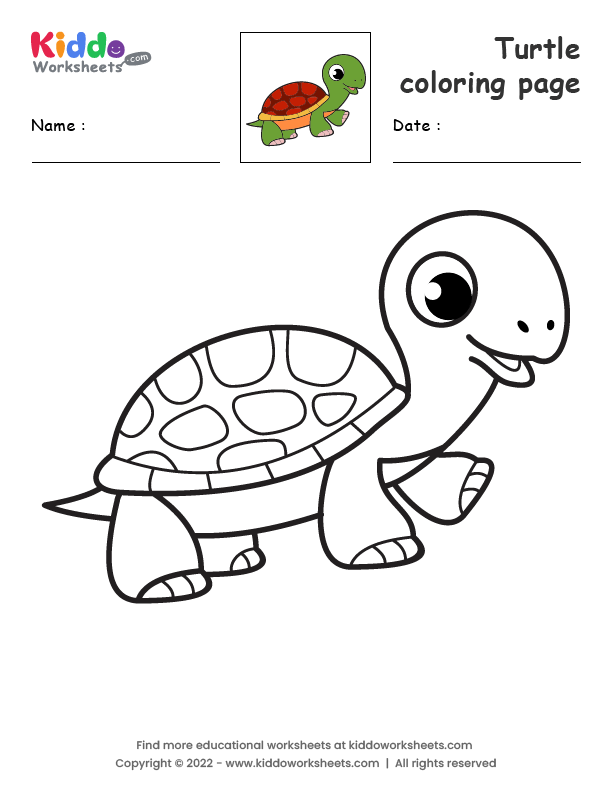 Free Printable Turtle coloring page Worksheet - kiddoworksheets
