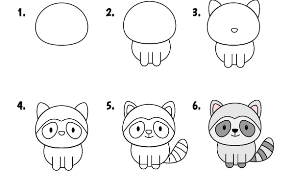 How to draw Raccoon worksheet