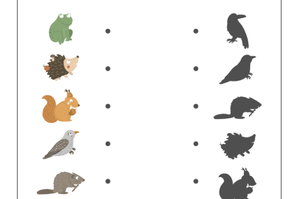 Shadow Matching Woodland Animals Worksheet