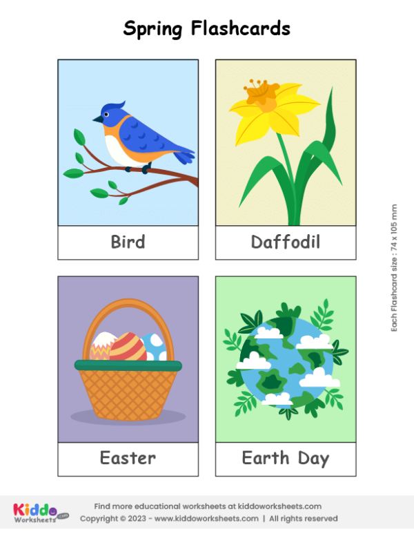 Spring Flashcards