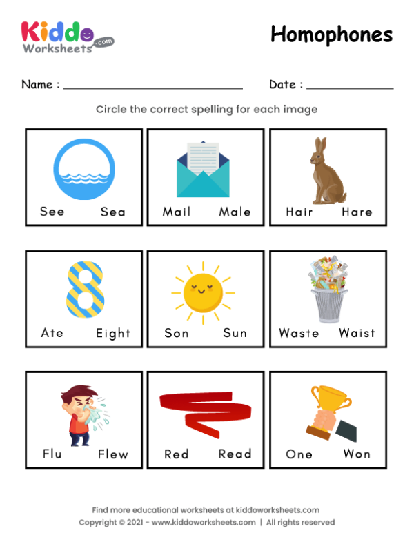 Homophones Worksheet 2