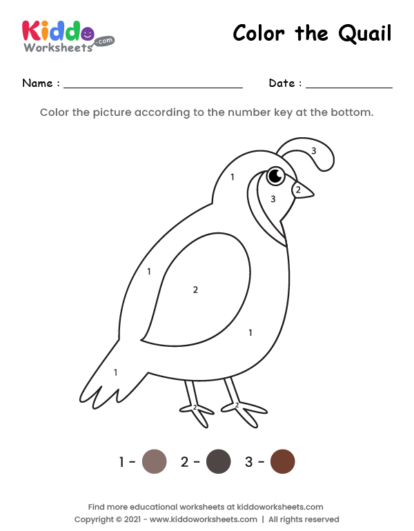 Color the Quail