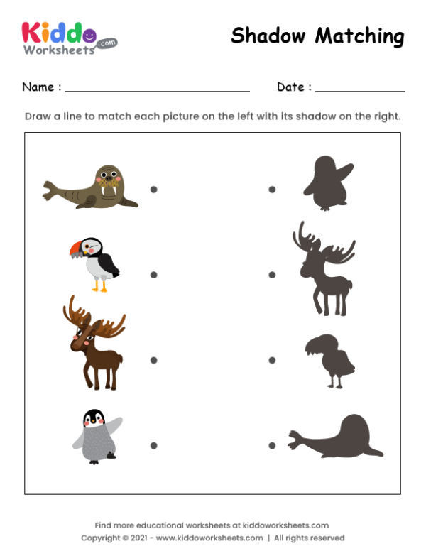 Shadow Match Arctic Animals