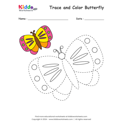 Trace and Color Butterfly