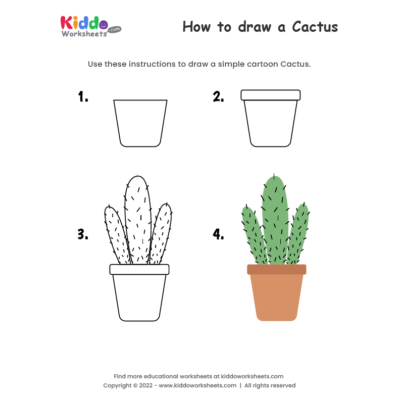 How to draw Cactus