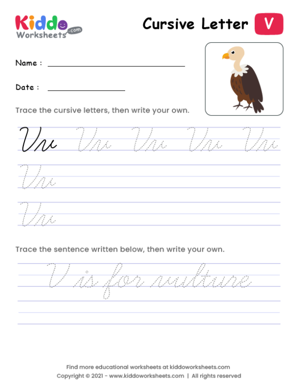 Cursive Writing Letter V