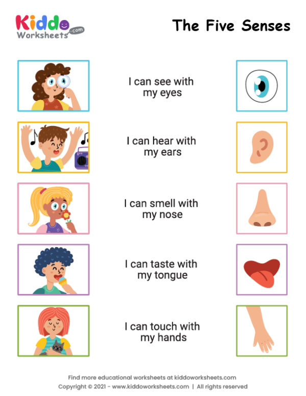 Five Senses Worksheet