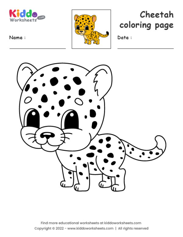 Cheetah coloring page