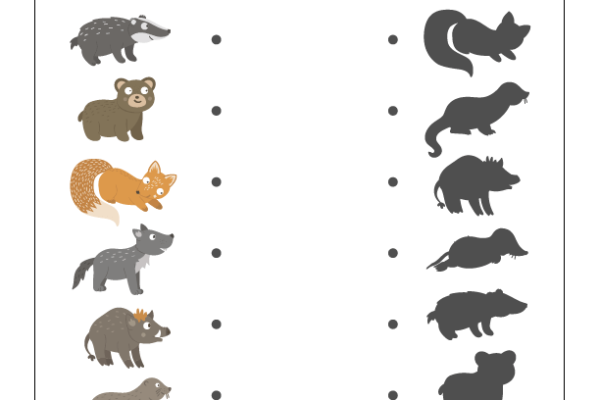 Shadow Matching Animal Worksheet