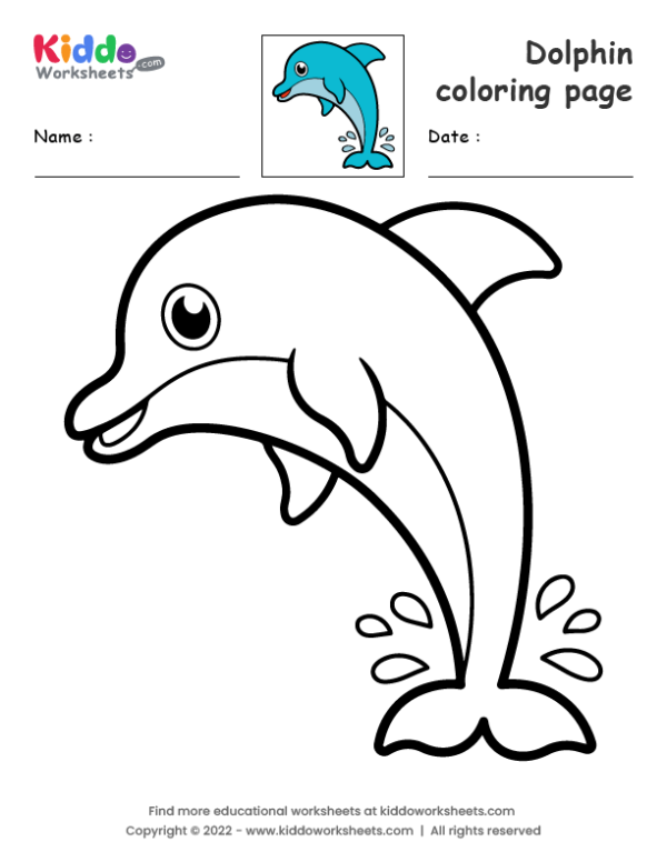 Dolphin coloring page