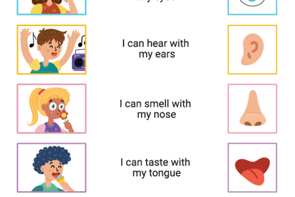 The Five Senses Worksheet