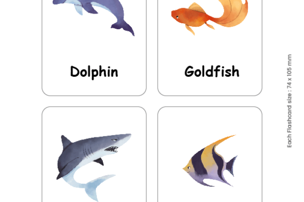 Sea Animals Flashcards