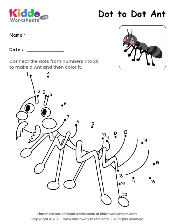 Dot to Dot Ant