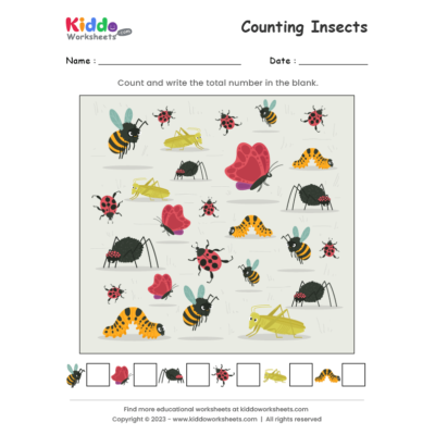 Counting Insects