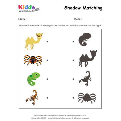 Shadow Match Desert Animals