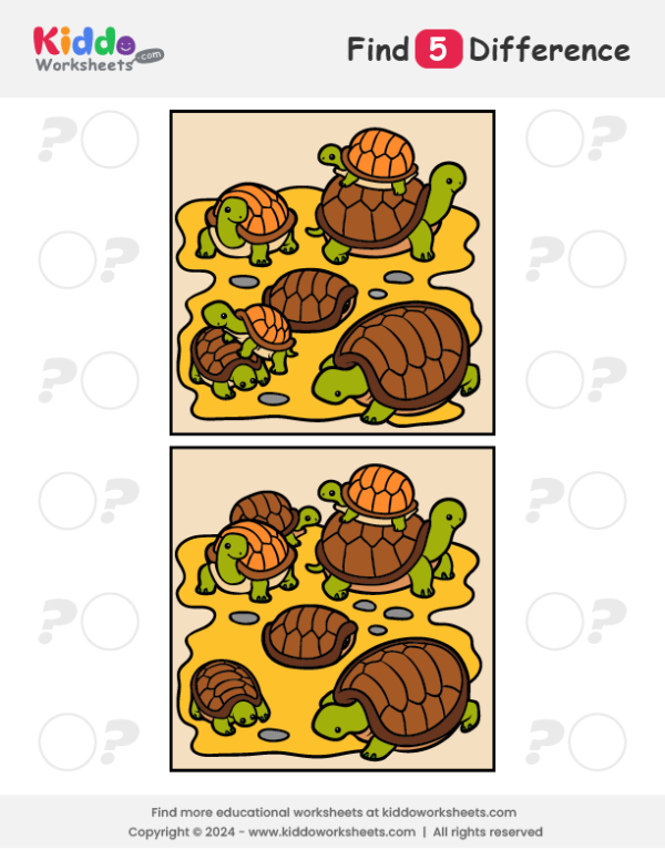 Tortoise Spot the Difference