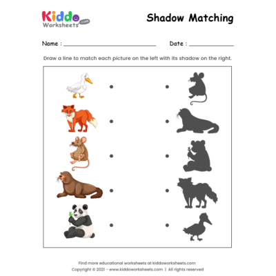 Shadow Match Animals