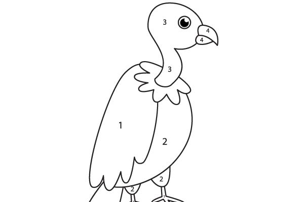 Color the Vulture Worksheet