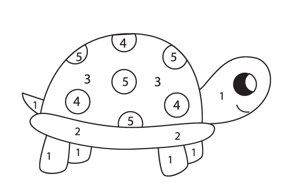 Color the Turtle Worksheet