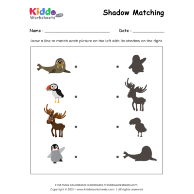 Shadow Match Arctic Animals