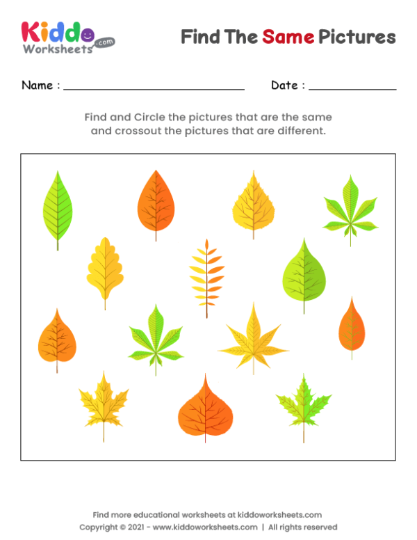 Find the same Leaves