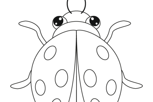 Ladybug coloring page