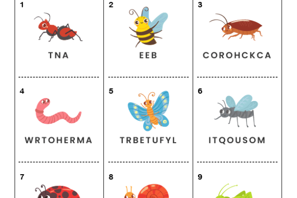 Spelling Word Scramble Insects Worksheet