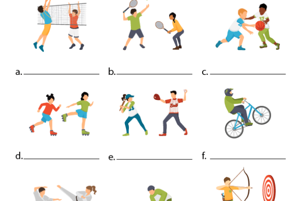 Sports Worksheet