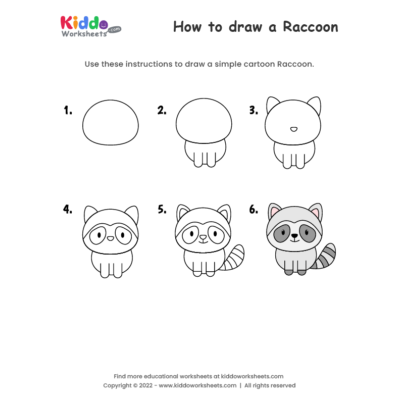 How to draw Raccoon