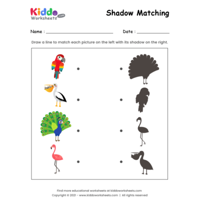 Shadow Match Birds