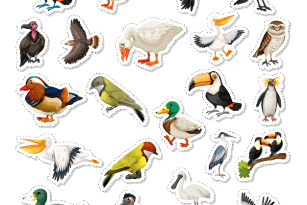 Birds Stickers