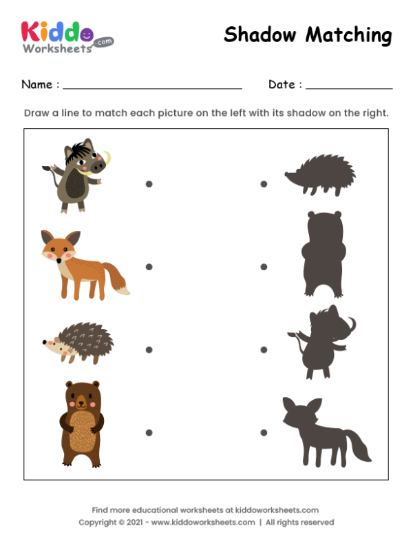 Shadow Match Forest Animals