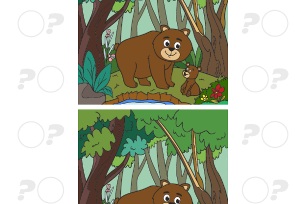 Bear Spot the Difference Worksheet