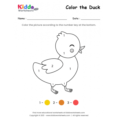 Color the Duck