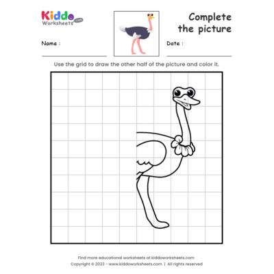 Complete the picture Ostrich