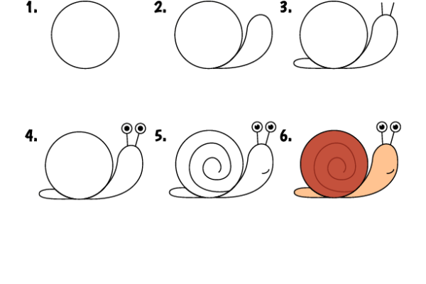 How to draw Snail worksheet