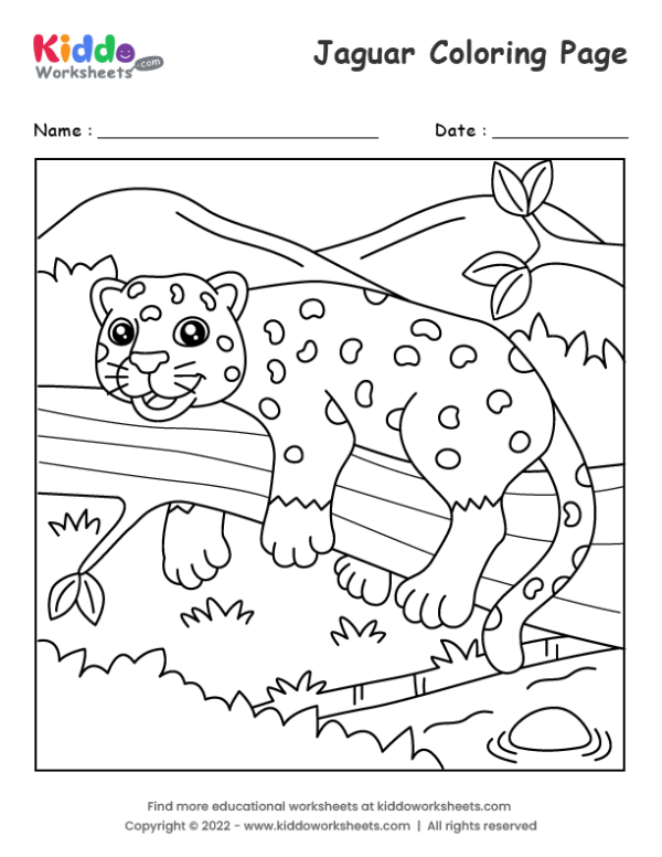 Jaguar coloring page