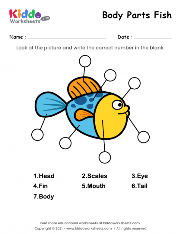 free-printable-body-parts-of-fish-worksheet-kiddoworksheets