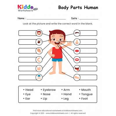 body parts fill in blanks with and without the answers