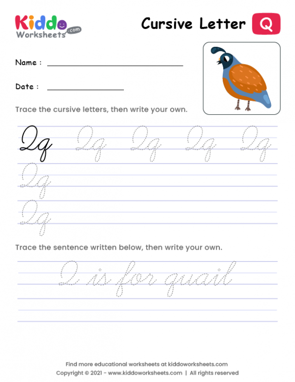 free-printable-cursive-writing-letter-q-worksheet-kiddoworksheets