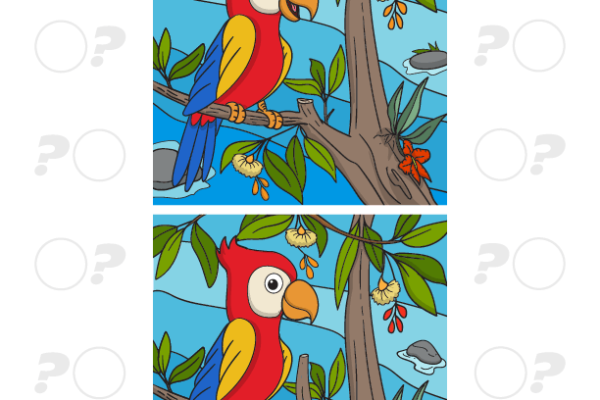 Parrot Spot the Difference Worksheet