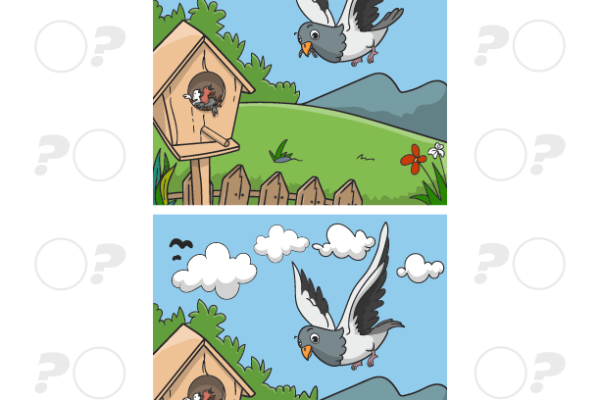 Pigeon Spot the Difference Worksheet