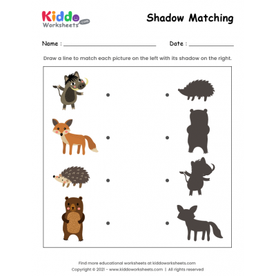 Shadow Match Forest Animals