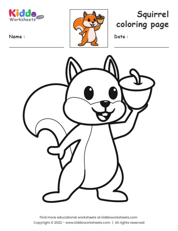 easy squirrel drawing tutorial｜TikTok Search